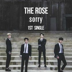 Cover of Sorry