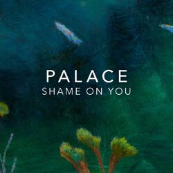 Cover of Shame On You