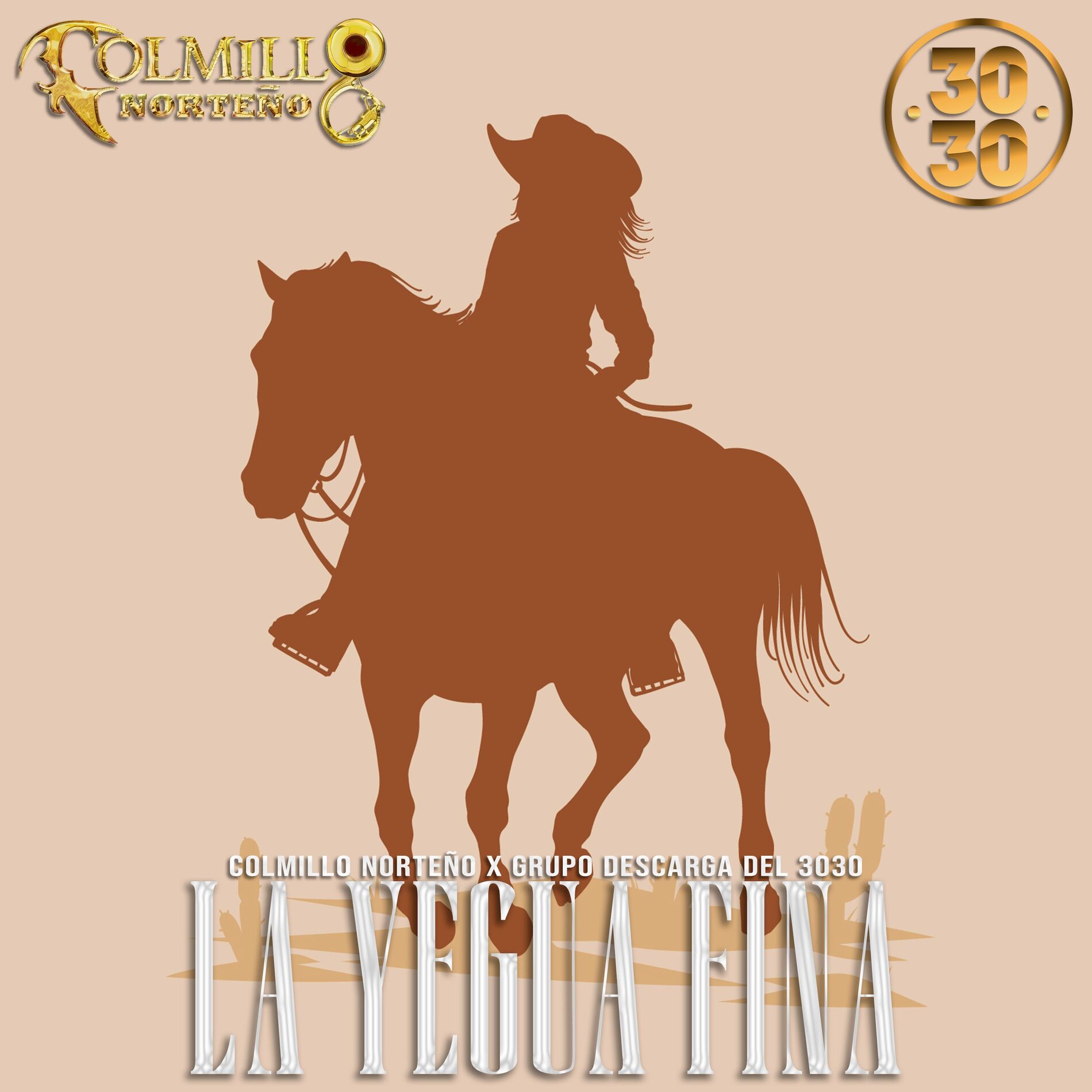 Album cover of La Yegua Fina