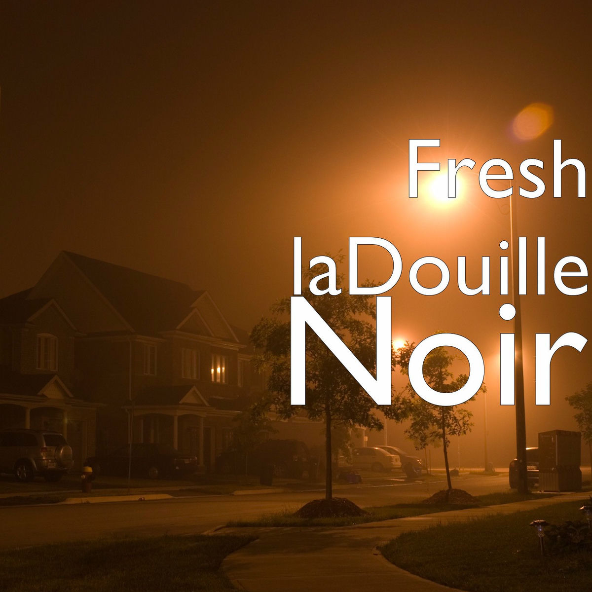 Album cover of Noir