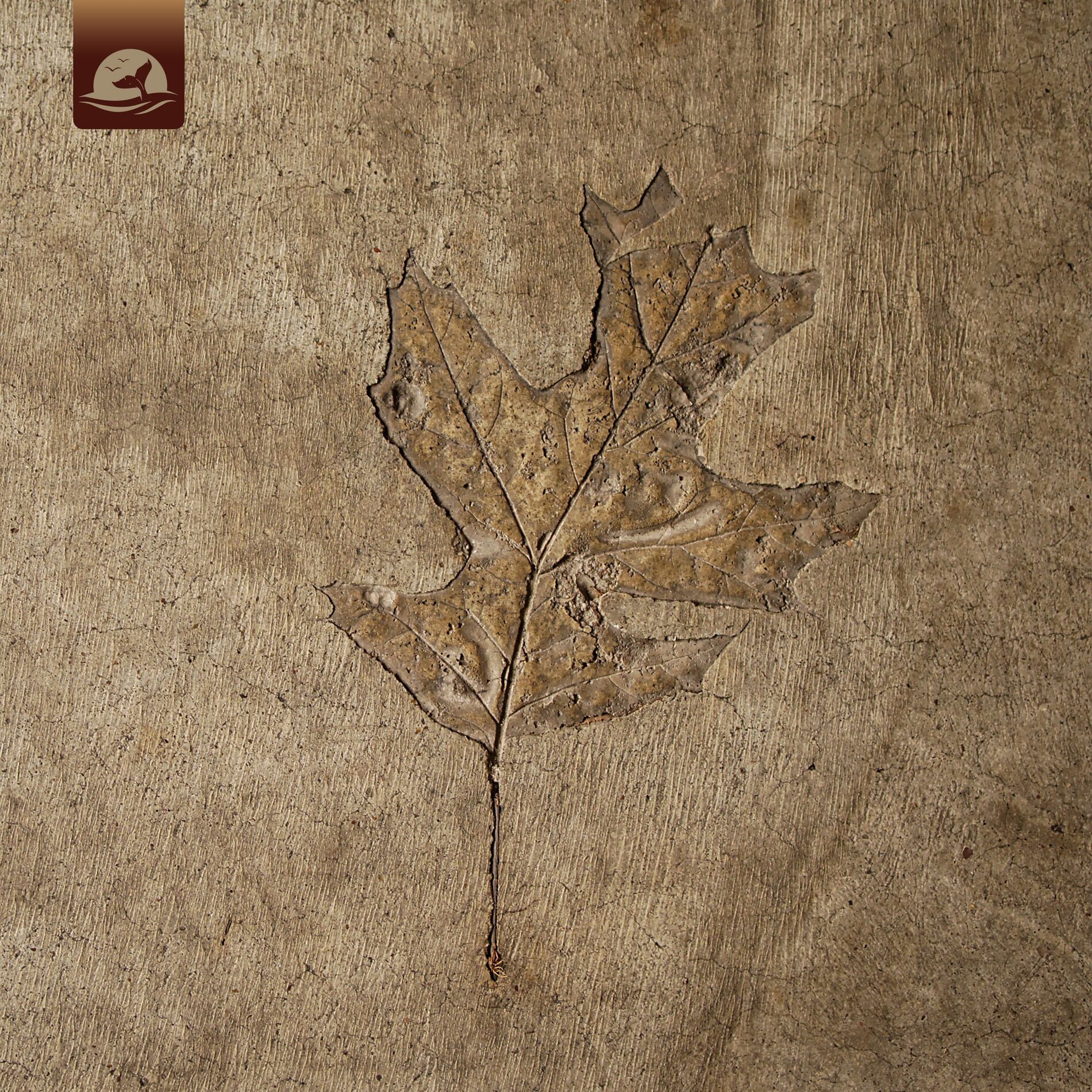 Album cover of Quiet Places