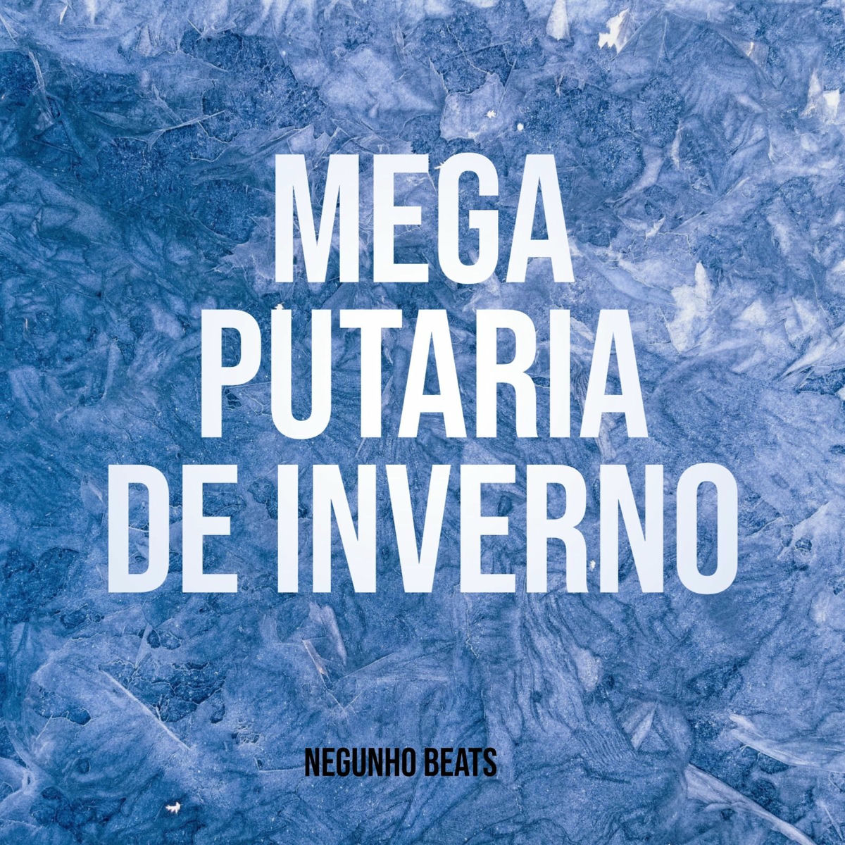 Album cover of Mega Putaria de Inverno