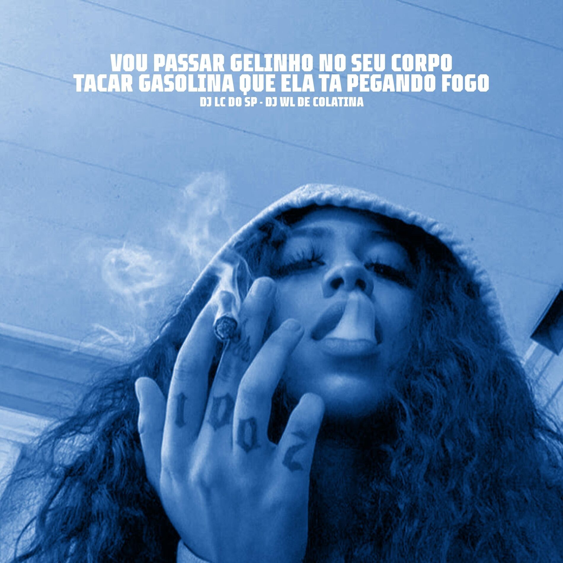 Album cover of Vou Passar Gelinho no Seu Corpo,tacar Gasolina Que Ela Ta Pegando Fogo