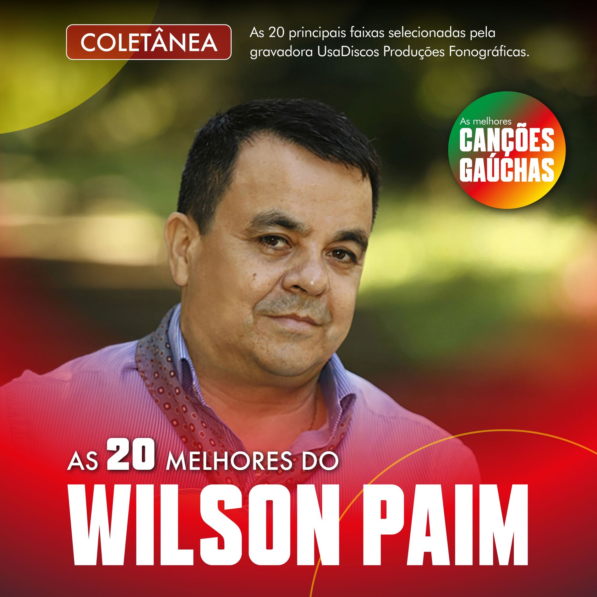 Album cover of AS 20 MELHORES DO WILSON PAIM