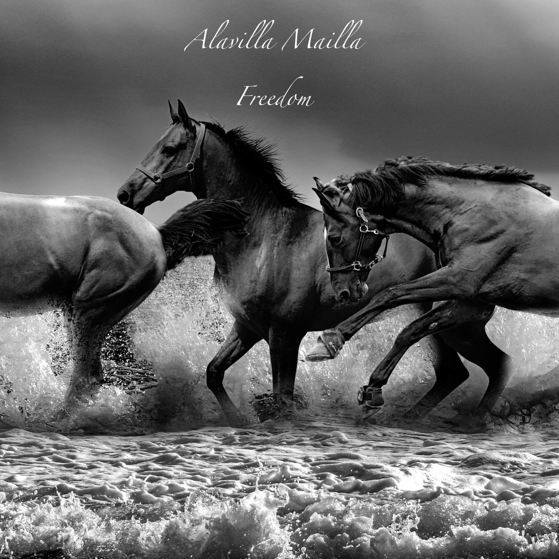 Album cover of Freedom
