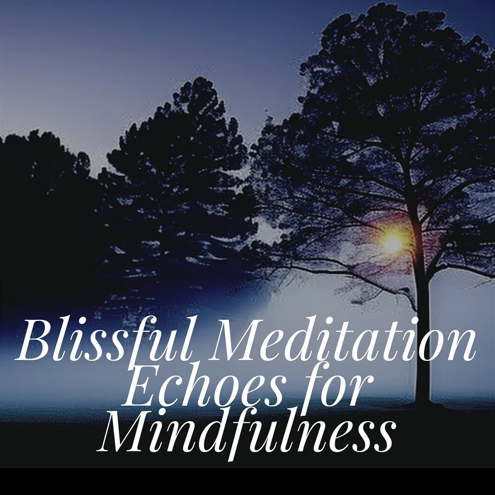 Picture of Blissful Meditation Echoes for Mindfulness