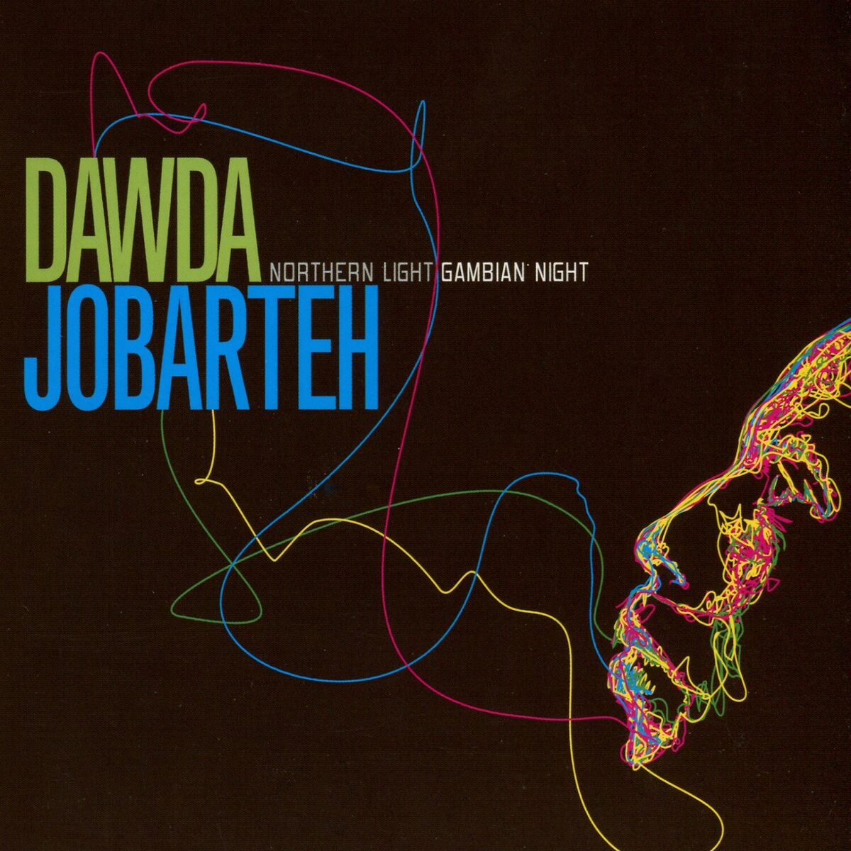 Album cover of Northern Light Gambian Night