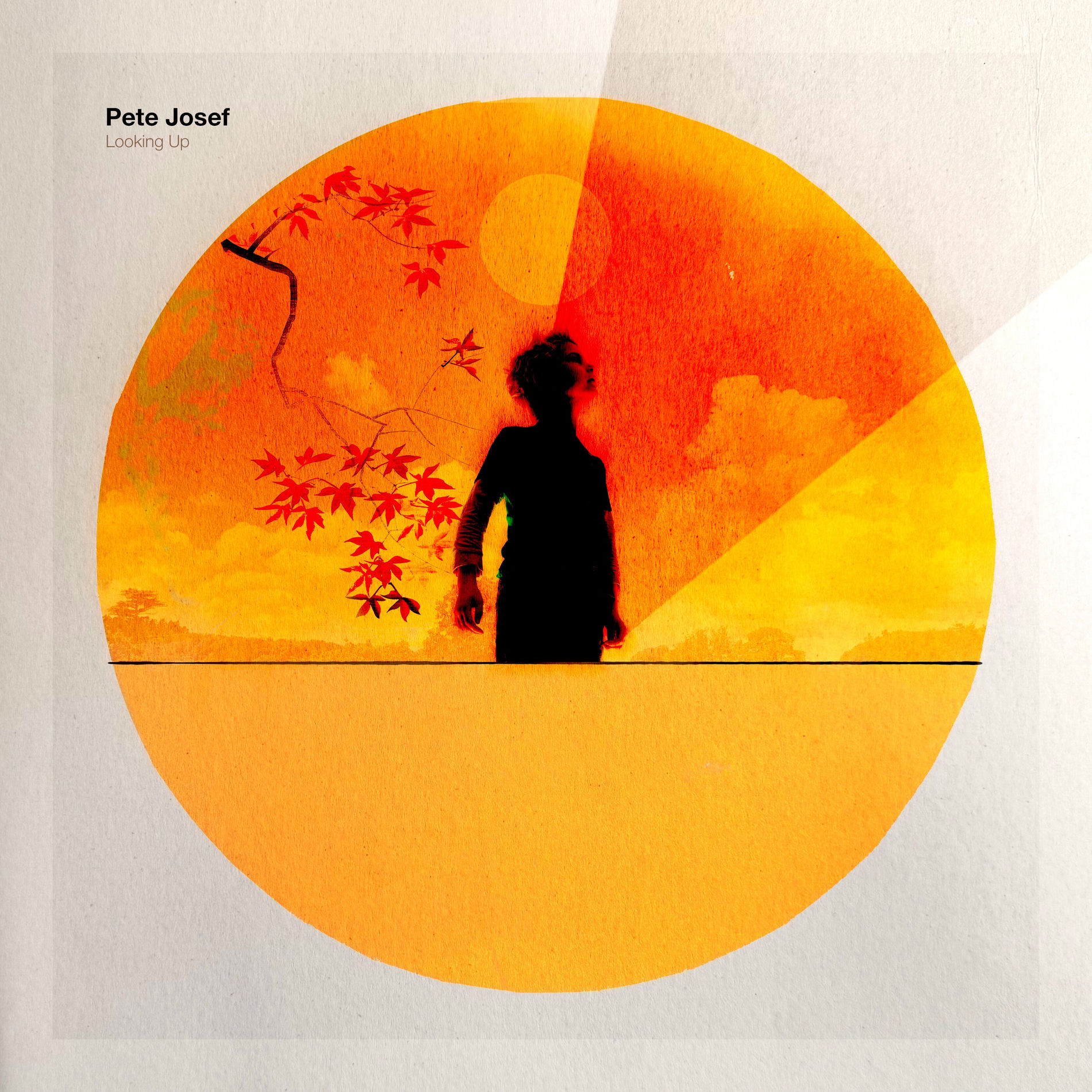 Album cover of Looking Up