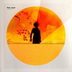 Cover of Looking Up
