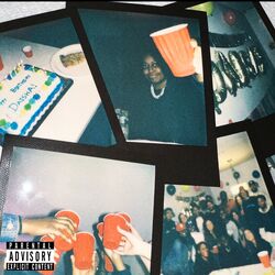Cover of Birthday