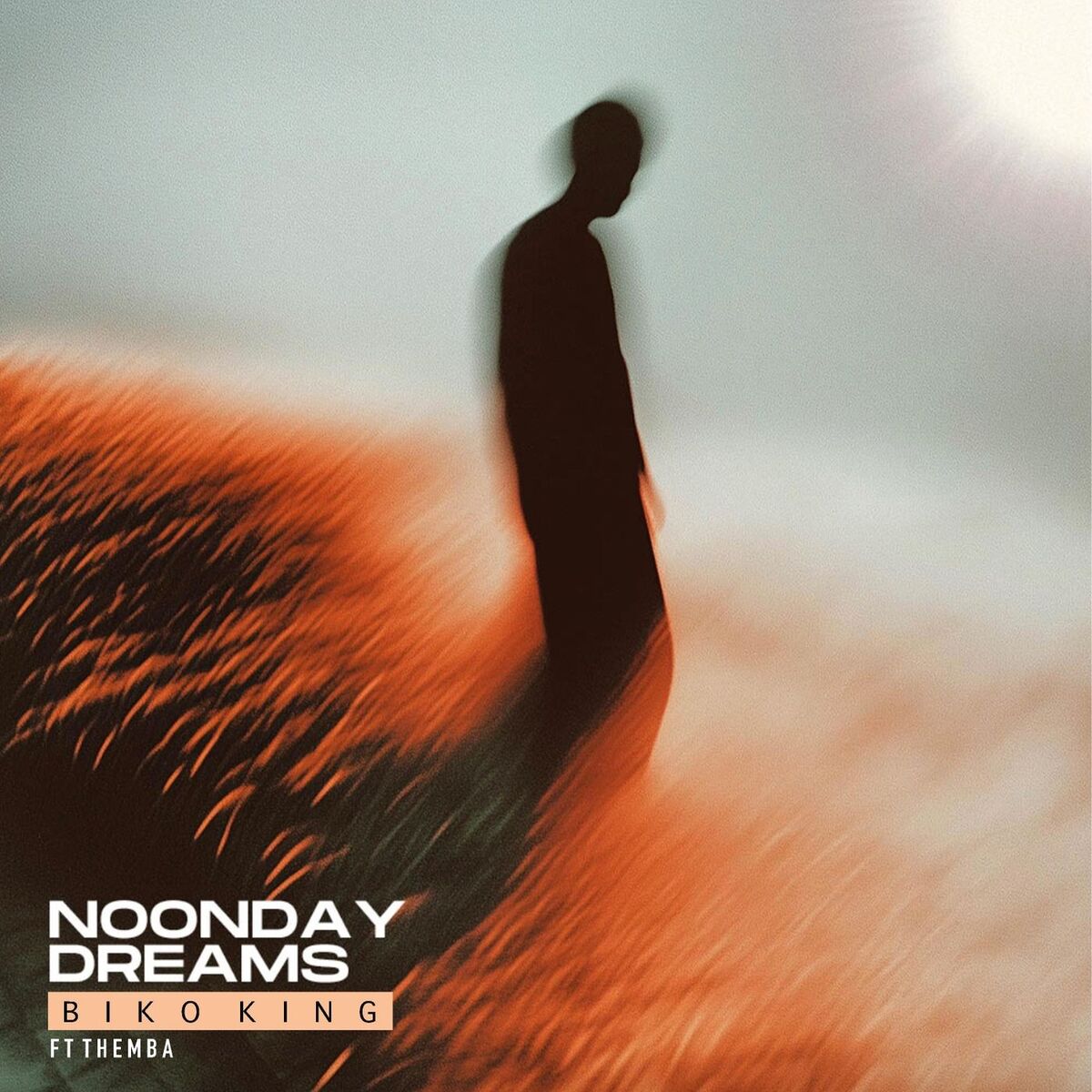Album cover of Noonday Dreams