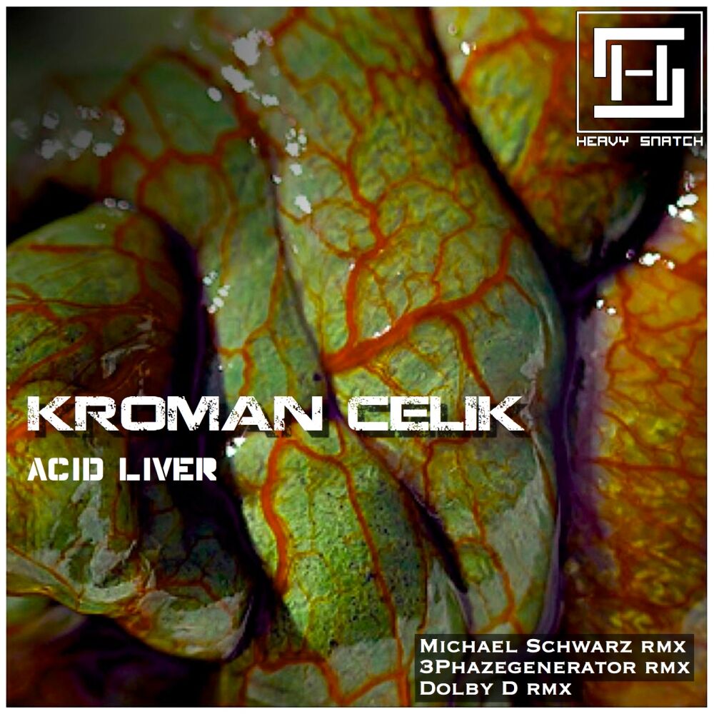 Picture of Acid Liver