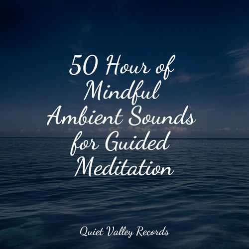 50 Hour of Mindful Ambient Sounds for Guided Meditation