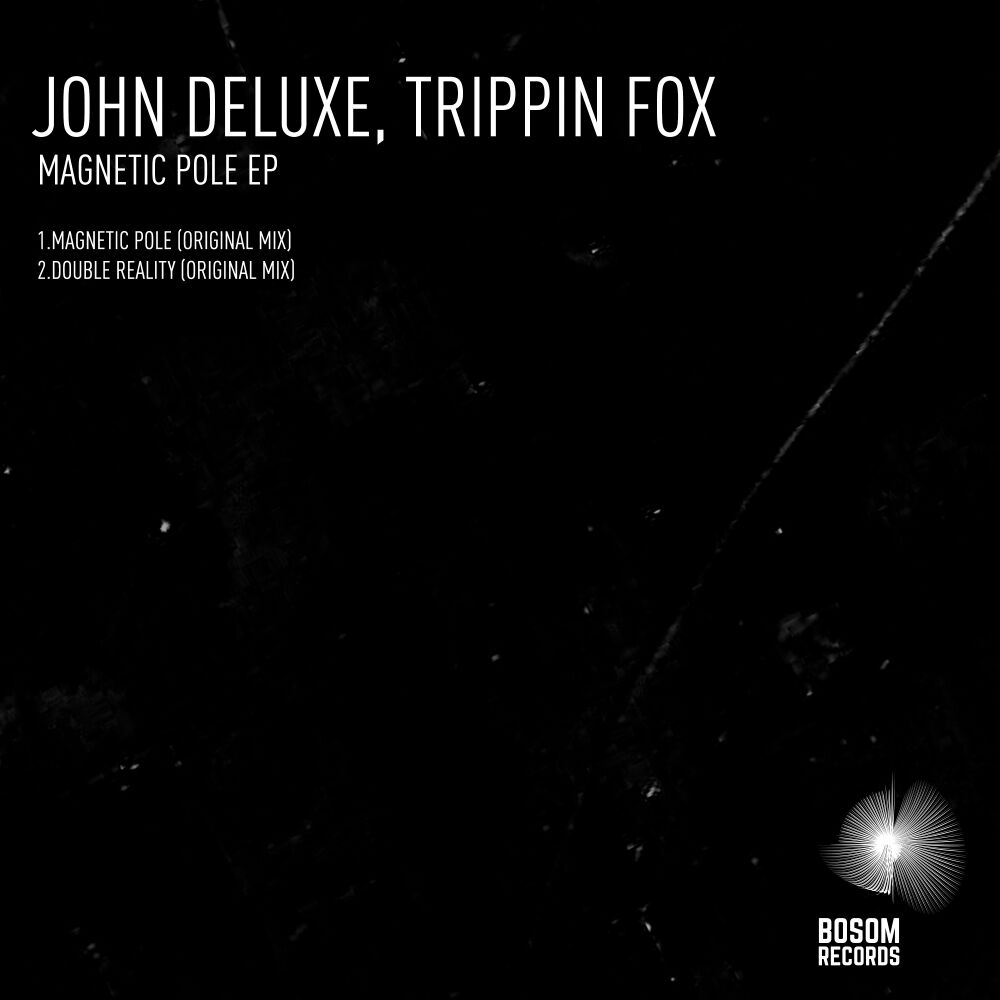 Picture of Magnetic Pole EP