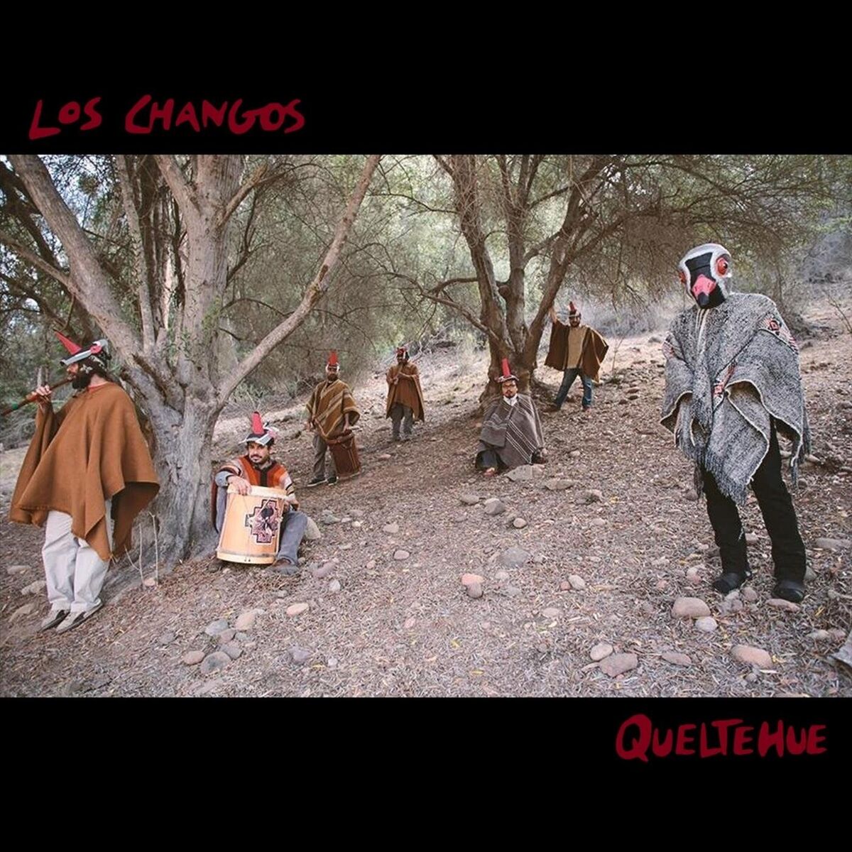Album cover of Queltehue