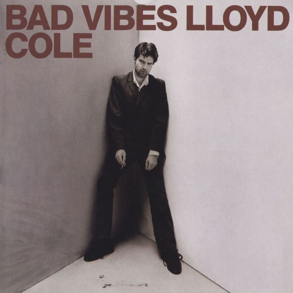 Picture of Bad Vibes