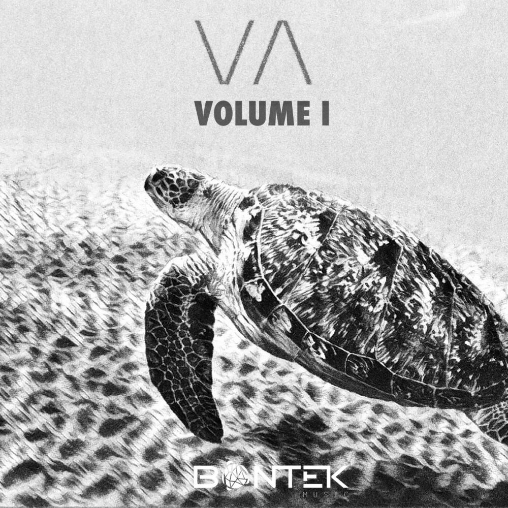Picture of VA Volume 1