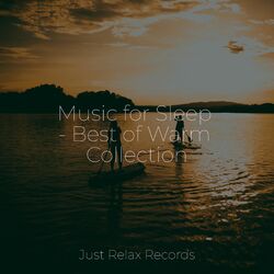 Cover of Music for Sleep - Best of Warm Collection