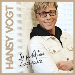 Cover of Im perfekten Augenblick