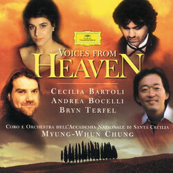 Cover of Voices from Heaven