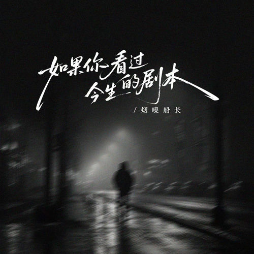 如果你看过今生的剧本
