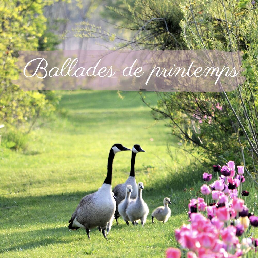 Picture of Ballades de printemps: Beaux sons de jazz, Temps de floraison et d'éveil, Jazz de Pâques