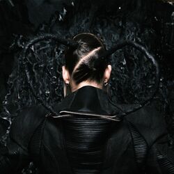 Cover of Chaos Reigns