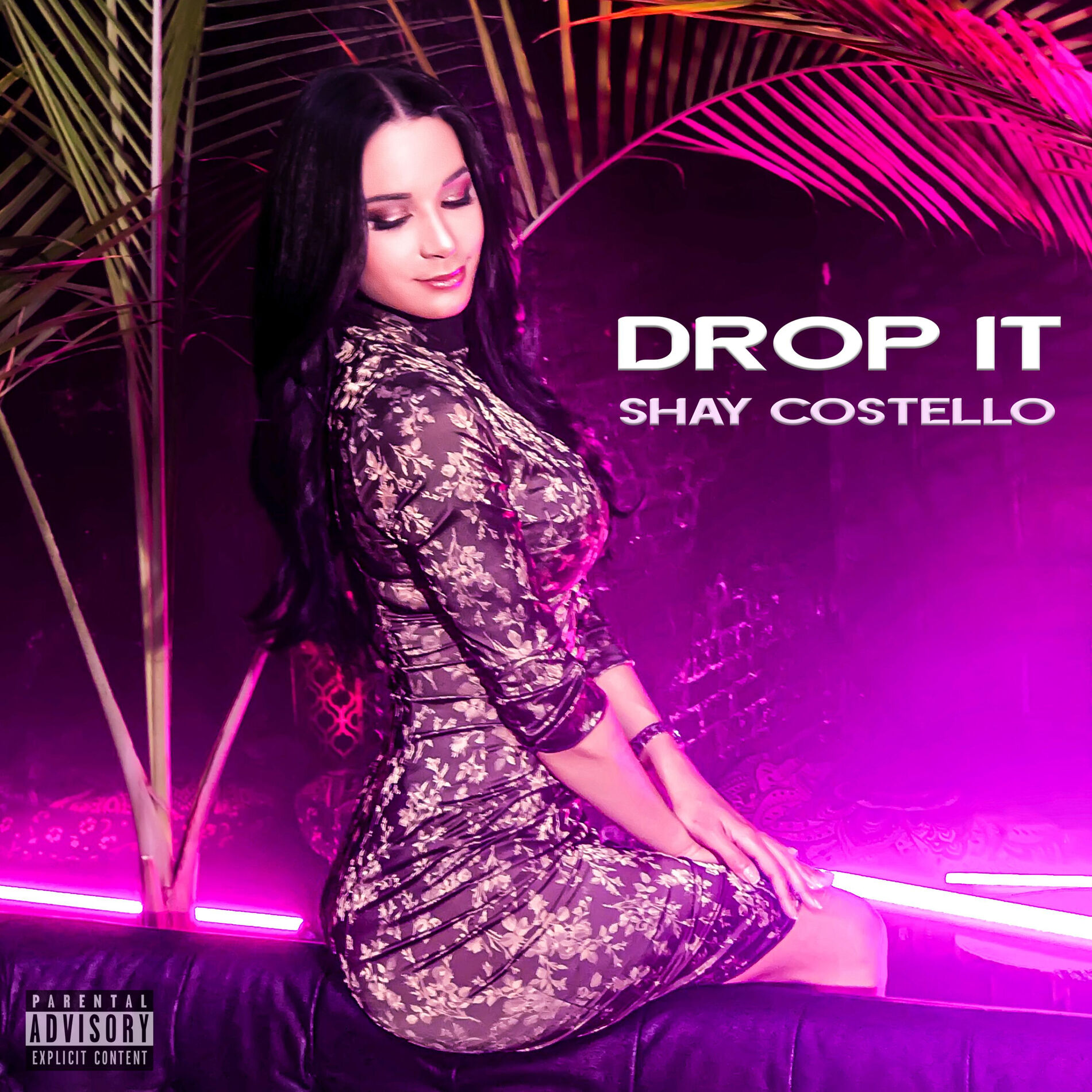 Album cover of Drop It