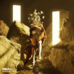 Cover of Real