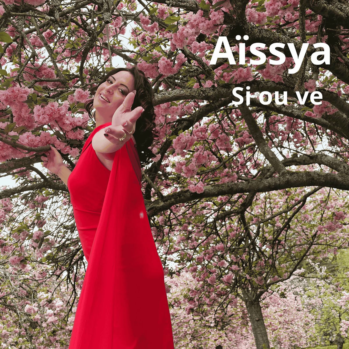 Album cover of Si ou ve