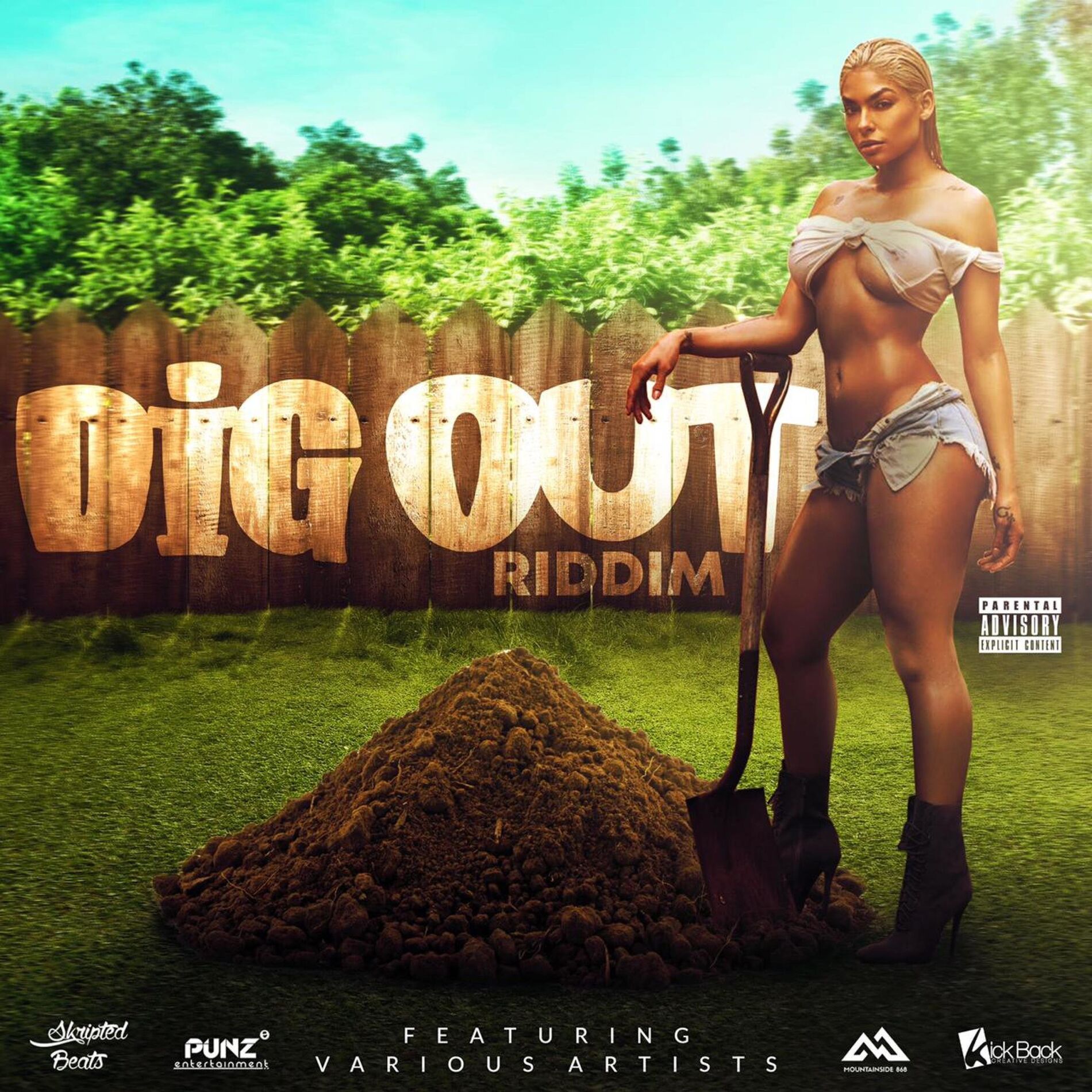 Album cover of DIG OUT RIDDIM