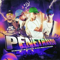 Cover of Penetrando