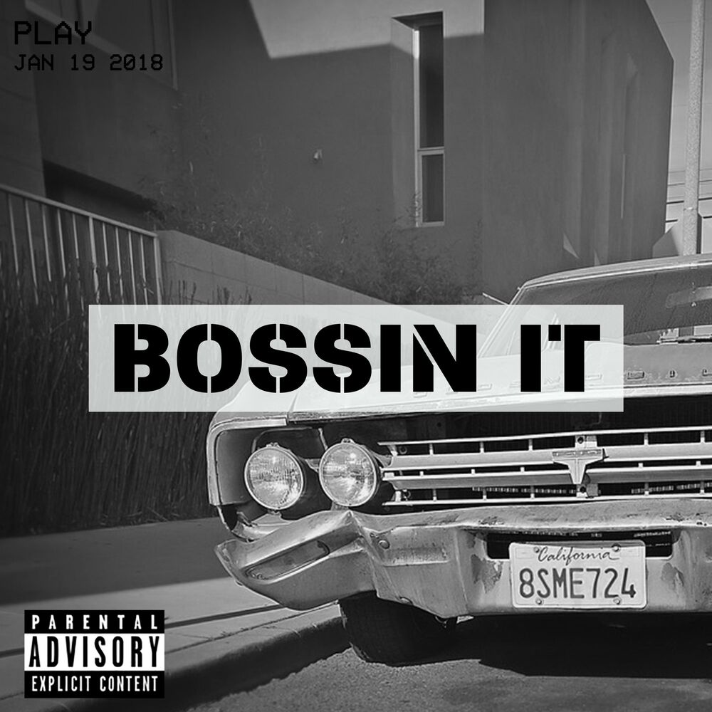 Picture of Bossin' It