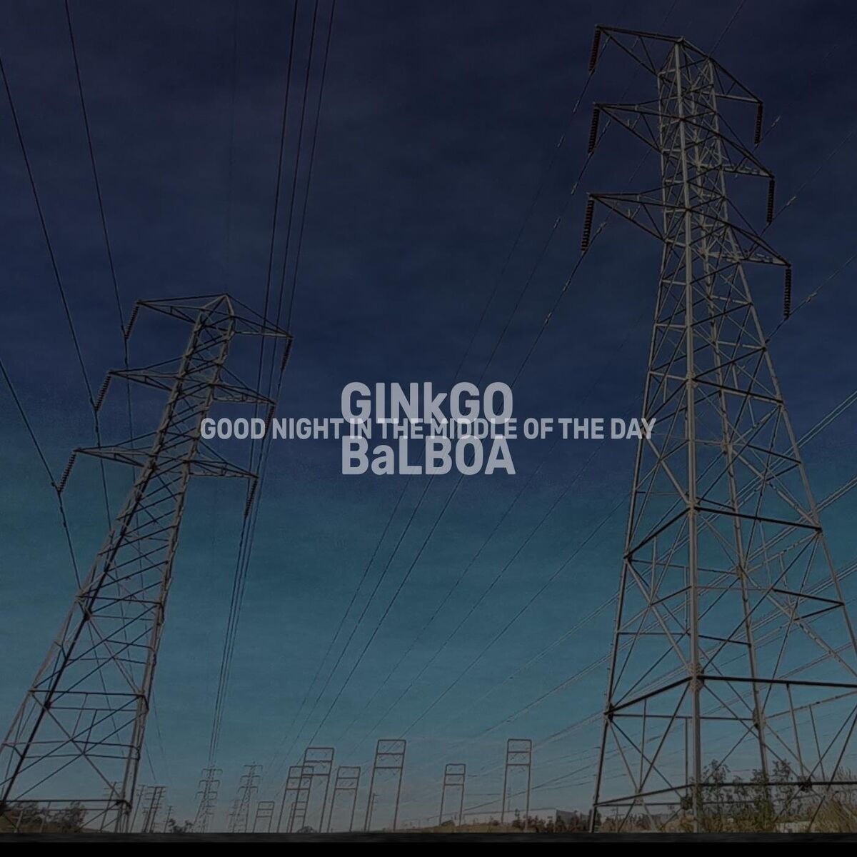 Album cover of Good Night in the Middle of the Day