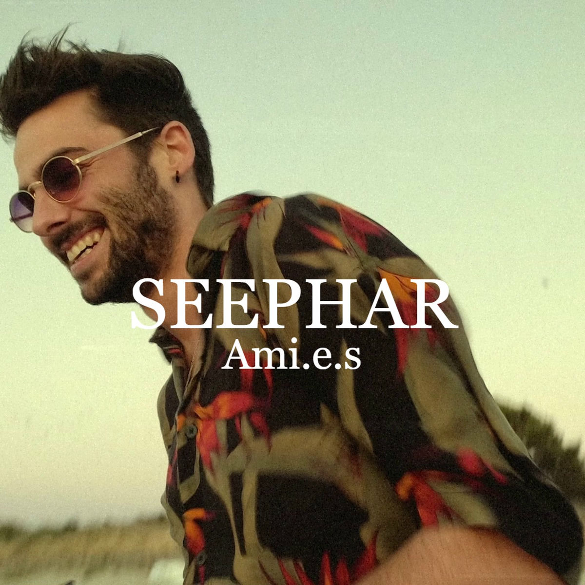 Album cover of Ami.E.S