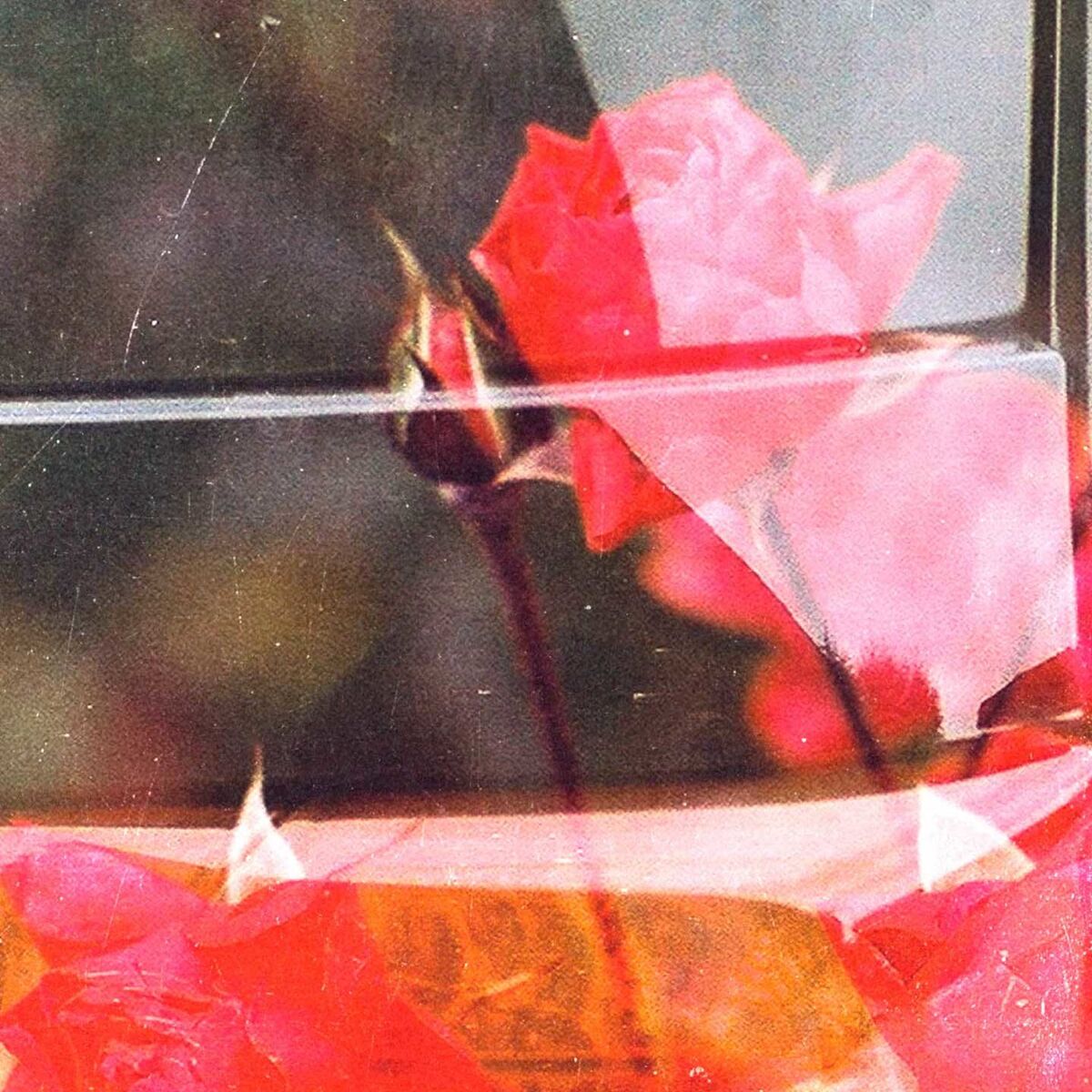 Album cover of Affection