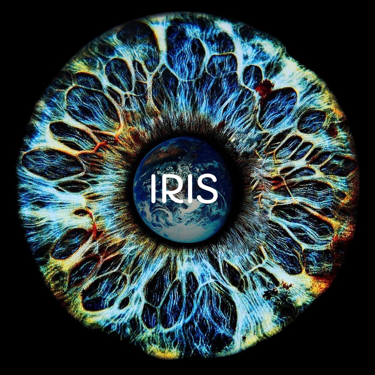 Album cover of Iris