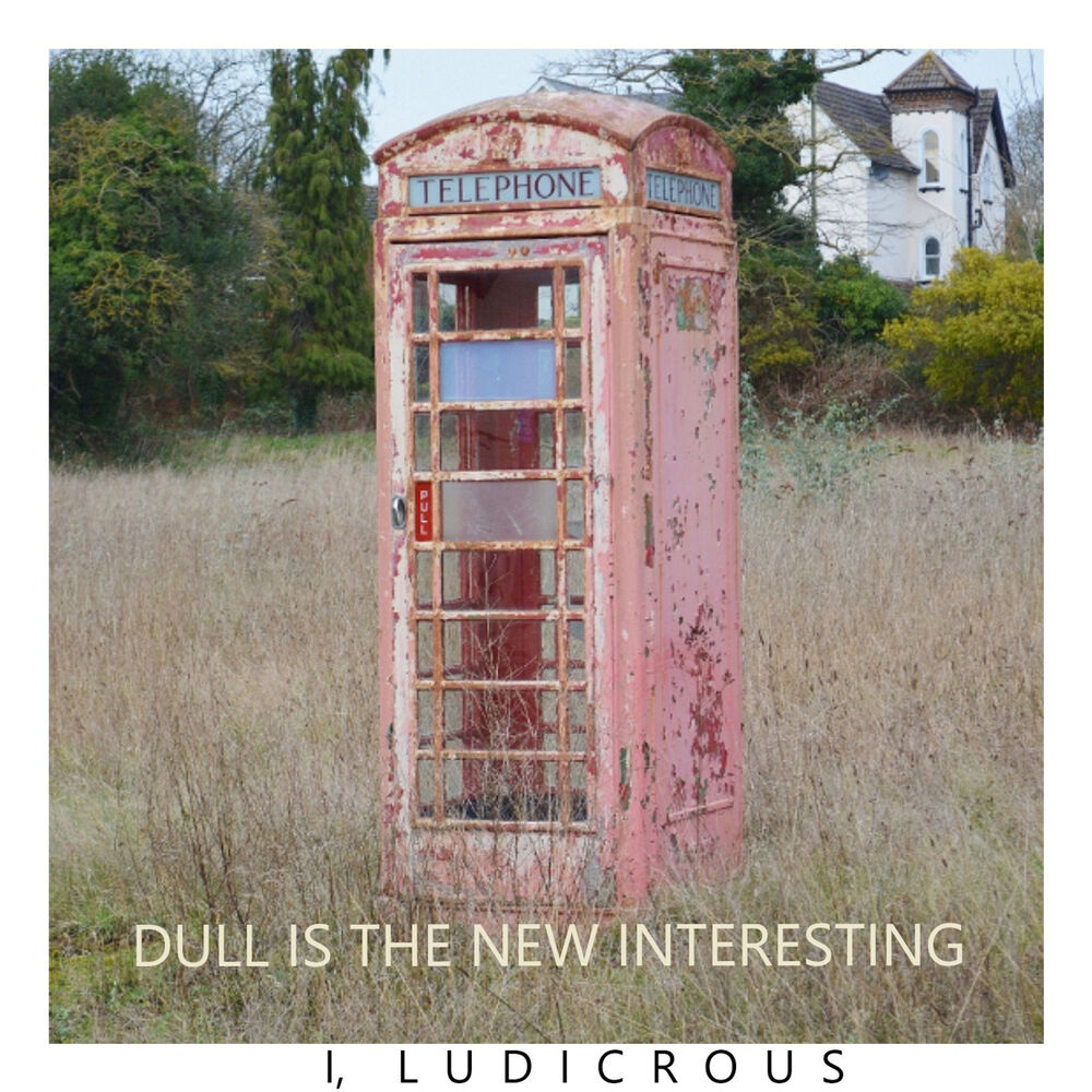 Picture of Dull Is the New Interesting