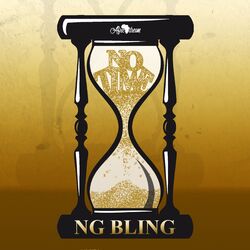 Cover of No Time