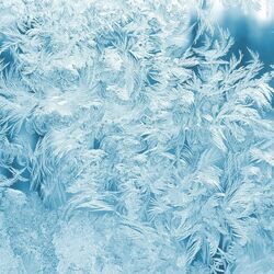 Cover of Ice Pulse