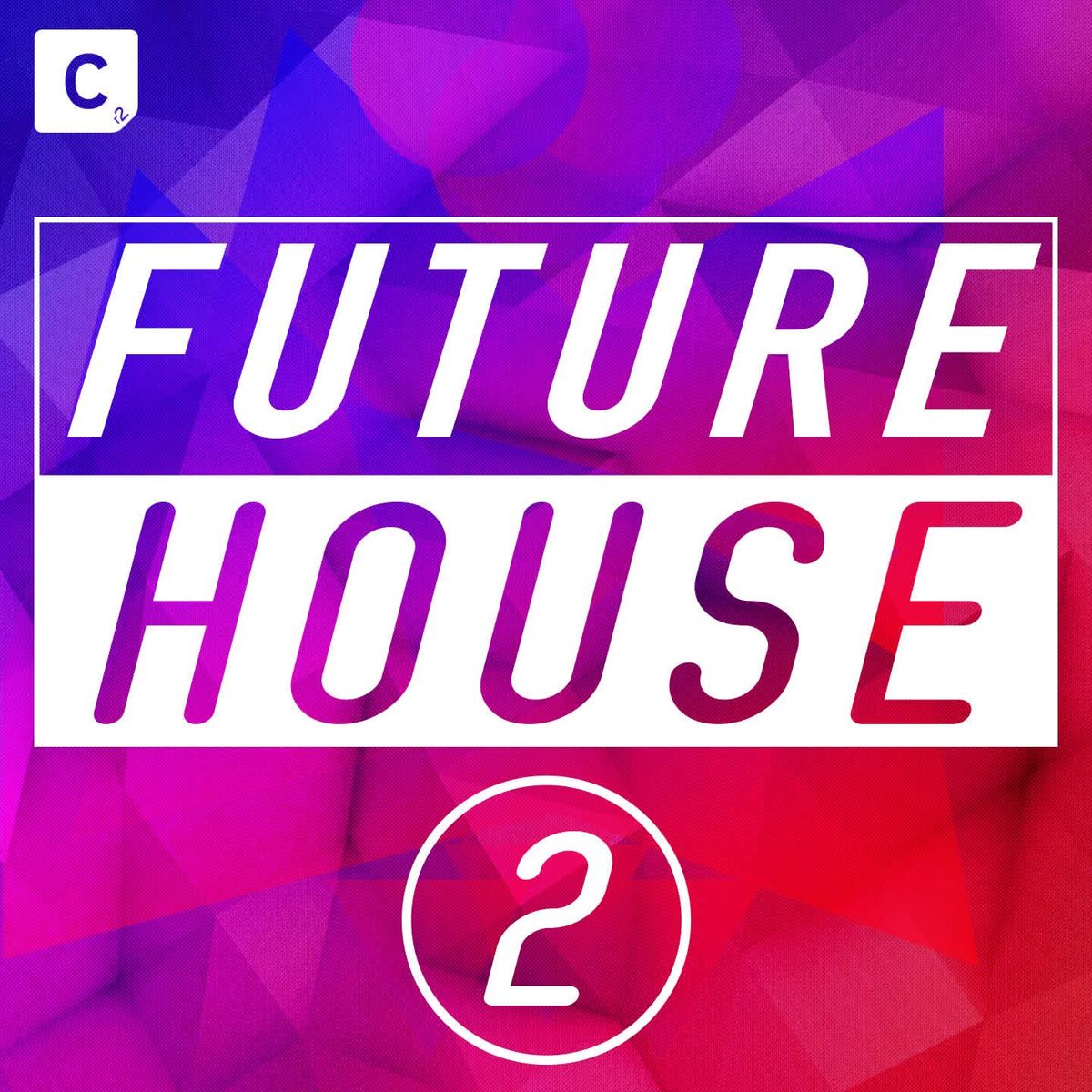 Album cover of Future House 2