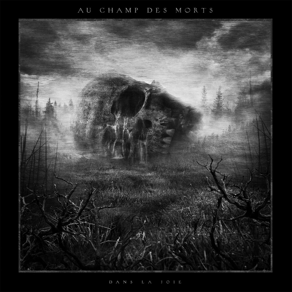 Album cover of Dans la joie