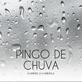 Pingo de Chuva