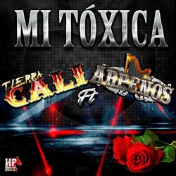 Cover of Mi Tóxica