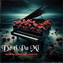 Cover of De Ti Pa Mi