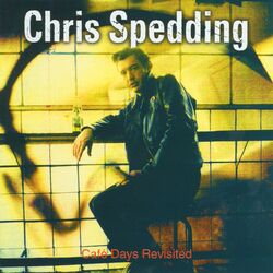 Cover of Cafe Days Revisited