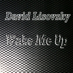 Cover of Wake Me Up
