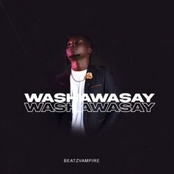 Cover of Washawasay