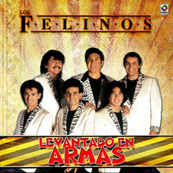 Cover of Levantando en Armas