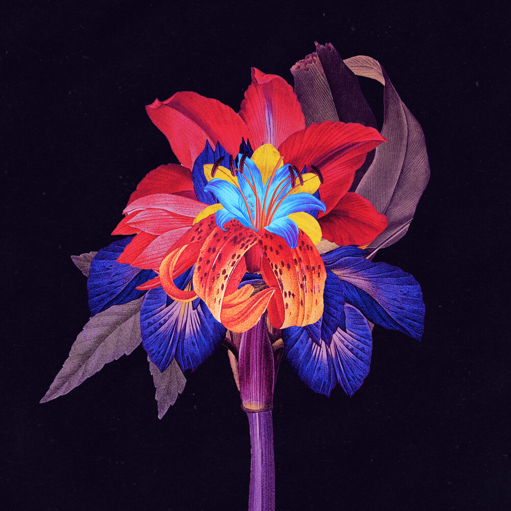 Picture of Nervous Tics (feat. Holly Walker) (DJ Tennis Remix)